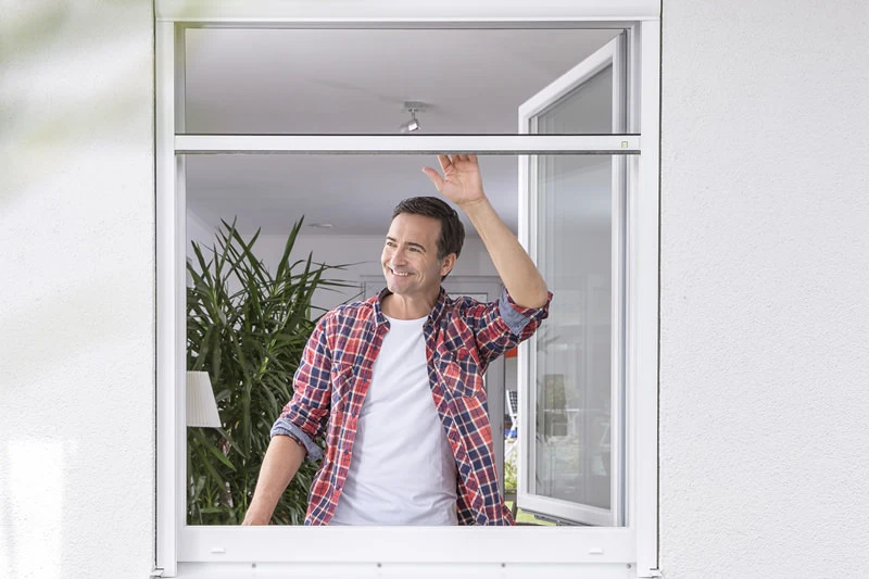 Neher Rollo Insektenschutz Rau